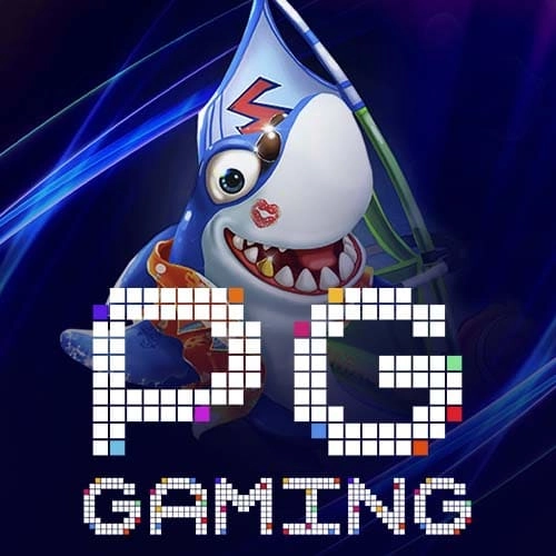 PG Gaming